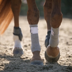 Incrediwear Equine Circulation Exercise Bandages - Pair